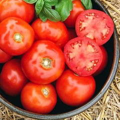 200 Rutgers Tomato Seeds-with Bonus! |Organic Non-GMO Heirloom