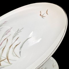 Norcrest AUTUMN BREEZE 10.25” Dinner Plates SET/4 Porcelain Silver Rim VTG Japan