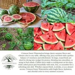 Crimson Sweet Watermelon Seeds (Citrullus lanatus) – 150+ Non-GMO & Heirloom
