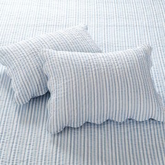 Martha Stripe Blue Quilt Set – Levtex Home