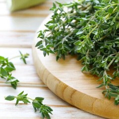 Thyme Seeds | Heirloom / Non-GMO | Free Shipping | Herb Seeds | Seed Store 1160