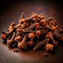 Whole Cloves – Ultra-Fragrant Aromatic Spice – Premium Quality Bulk – USA