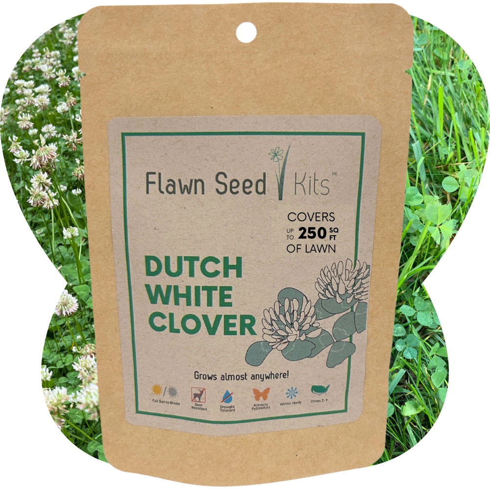 Dutch White Clover Seed, Organic Coated, Eco-Friendly, Low Maintenance