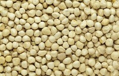 500 Moringa Oleifera Seeds Kernel 4 oz. SHELLED Fresh Organic Semilla De Moringa