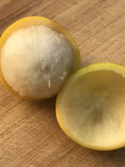 Lemon Drop Mangosteen Garcinia Intermedia Yellow Tropical Fruit Tree Plant