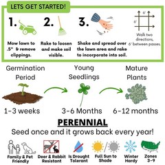 Micro Clover Seed, Organic Coated, Eco-Friendly, Low Growing, Low Maintenance