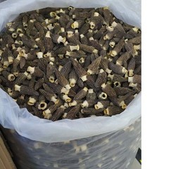 1oz – 16oz Dried Wild Morel Mushrooms, Large 大号羊肚菌 Wild Morchellas USA Seller