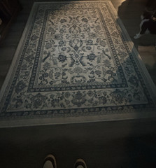 Rectangle Floral Area Rug 4 x 6 ft Beige Blue Pattern for Any Room