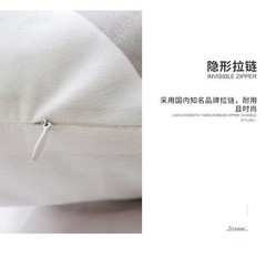 张凌赫 Zhang Linghe prints pillow cover Cushion Cover Room Pillowcase