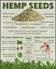 1 Pound (16 oz) Hemp Hearts Raw Shelled Hemp Seeds, Natural,FRESH