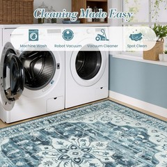 Boho Area Rugs Machine Washable Rug for Living Room Bedroom, Large 5X7 Vintage N
