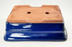 Rectangular Bonsai, Cactus & Succulent Pot 10″x 8″x 3.25″ + Mesh – Dark Blue