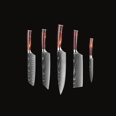 Takeshi 5-Piece Japanese Carbon Steel Knife Set + FREE Stainless Steel Holder