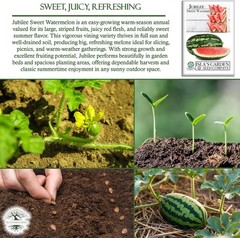 Jubilee Sweet Watermelon Seeds Citrullus lanatus – 50+ Non GMO & Heirloom See…