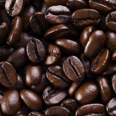 BRAZILIAN YELLOW BOURBON ESPRESSO COFFEE BEANS DARK ROASTED 5 POUNDS 1 POUND BAG