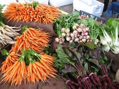 Vegetable Seed Lot $1.99 each 121 Heirloom Varieties For GARDEN/STORAGE non gmo