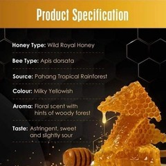 Kinohimitsu Wild Tualang Honey 500g