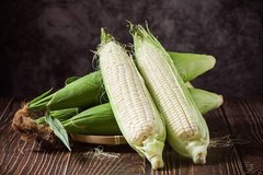 100 Truckers Favorite WHITE SWEET CORN Zea Mays Vegetable Seeds
