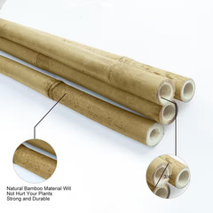 8 Ft. X 3/4 In. Natural Bamboo Garden Plant Stakes for Climbing Support (10-Pack