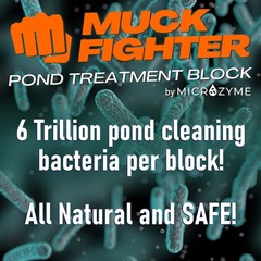 Muck Fighter Pond Treatment Block | Lasts 30 days | Natural Pond Bacteria & Slud