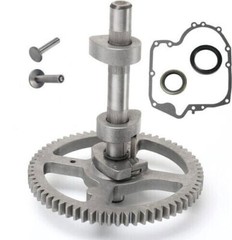 793880 Camshaft For Briggs Stratton 84005207,697110,793583,792681,791942,795102