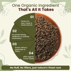 Organic Way Cumin / Jeera Seeds Whole – Organic, Kosher & USDA Certified