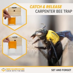 Carpenter Bee Trap – Wood Boring Bee Trap – Unique Catch & Release Outdoor Carpe