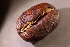 100 % Jamaican Blue Mountain Coffee Beans Medium Roasted 10 Pounds in 1 LBS Bags