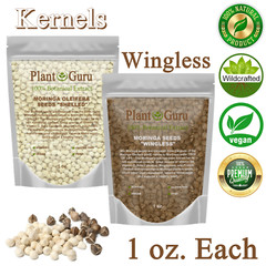 Moringa Oleifera Seeds 1 oz. Each WINGLESS & SHELLED Fresh Semillas De Moringa
