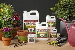 Hormex Vitamin B1 & Rooting Hormone Concentrate – Maximize Plant Growth & Health