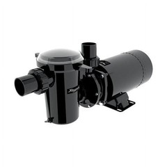Raypak Protege AGP Above Ground Pool Pump, 1.0 HP Motor, 1.5 in PVC Union