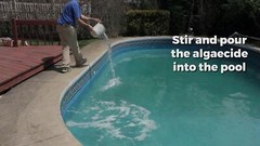Rx Clear Algaecide 60 Plus Prevents Algae Swimming Pool Chemical – 1 Quart