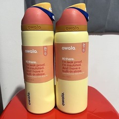 Owala FreeSip 24/32oz Stainless Steel Water Bottle – Limited Edition 2026 Gift