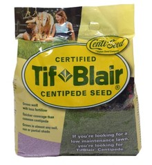 Tifblair Centipede Grass Seed (Certified) – Select Your Size