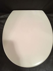 Porcher 71320-00.071 Round Front Slow Close Toilet Seat PLASTIC – BISCUIT COLOR