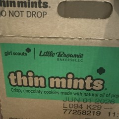 Girl Scouts Thin Mints Chocolate Mint Cookies, 9 oz Box, Exp JUN 01 2026