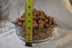 Pecans In-Shell 2.5 lbs Utah Grown Paper Shell Pecan 2023-’24 Crop Free Shipping