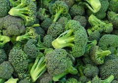 1200+ BROCCOLI WALTHAM SEEDS HEIRLOOM VEGETABLE GARDEN NON-GMO MICROGREENS USA