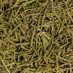 Organic Rosemary | Fresh from Tunisia