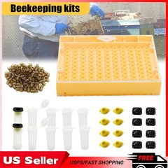 Beekeeping Nicot Bee Queen Rearing Grafting Kit for Nicot System Bee Keeping Que