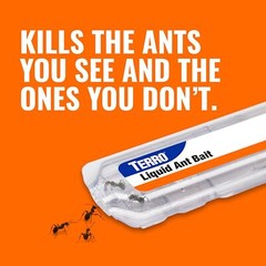 TERRO Ant Killer Bait Stations T300B Liquid Bait to Eliminate Ants 12 Count