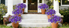 12 Bundles Artificial Flowers for Outdoors Decorat, Faux Silk