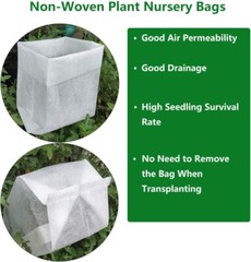 Peggy Martin Climbing Rose – Live Plant – ( 1 QT )