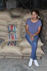TANZANIAN KILIMANJARO COFFEE BEANS PEABERRY MEDIUM ROAST 2 POUNDS