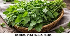 Natural Bathua Seed for Planting | Chenopodium Seeds | Lamb’s Quarters