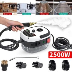 2500W Handheld Car Detailing Cleaning Machine High Temp Steam Cleaner Household