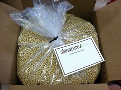 Signature Soy NON-GMO Soybeans for making Soymilk & Tofu 1.5, 13 or 20 lbs FRESH