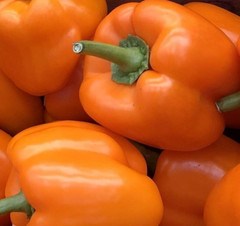 ORANGE SUN BELL PEPPER SEEDS 30+ FREE SHIPPING culinary SWEET PEPPER vegetables