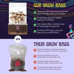 6lbs All-in-One Mushroom Grow Kit in a Bag | HUGE FLUSHES | Easy to Use