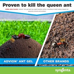 Syngenta Advion Ant Gel Station Insecticide Indoor Outdoor Ant Bait 3 Stations